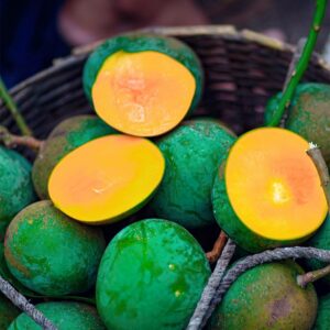 হিমসাগর আম ১২ কেজি